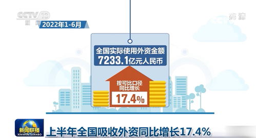 上半年全國吸收外資同比增長17.4%，信息技術(shù)咨詢服務(wù)成亮點